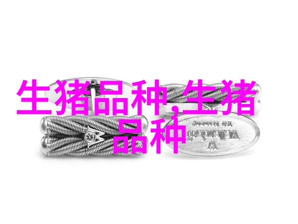 鲁莱黑猪