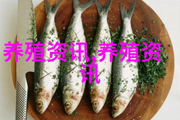 精准肉羊