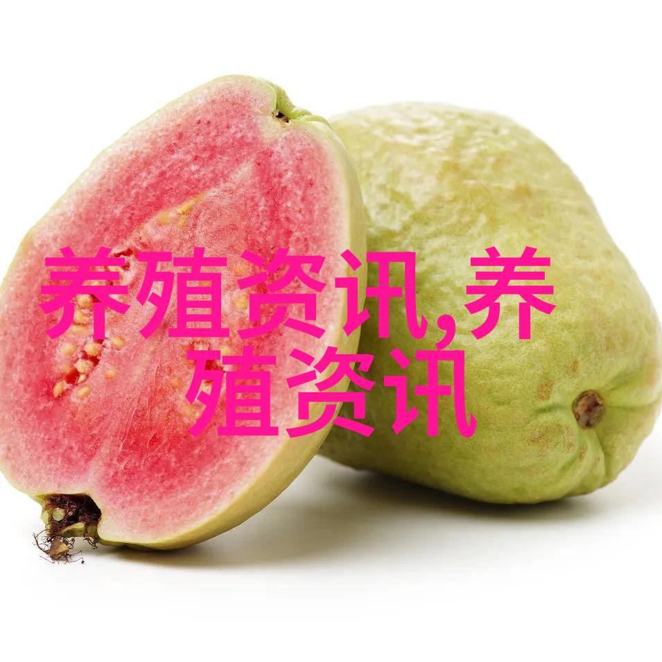 节日的诅咒没有被打破猪的价格继续下跌