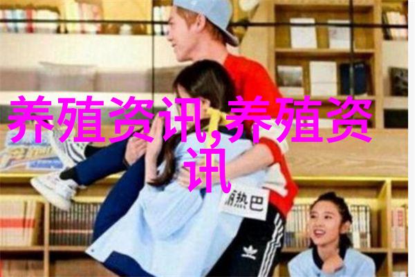 鸡专家教你机会