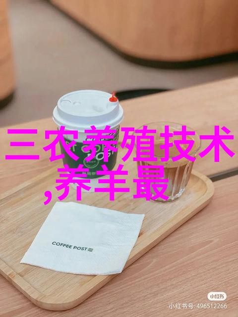 夏季如何提高奶牛产奶量