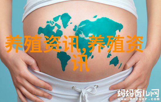 鸡蛋价格反弹半个鸡蛋价格飙升1833