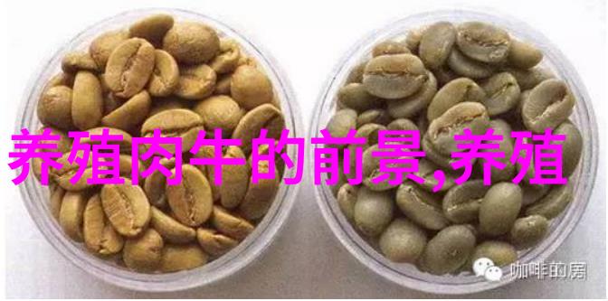 奶牛乳头清洗和药浴方法