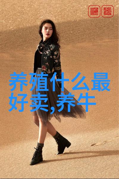冬春奶牛喂青饲既增营养又省料
