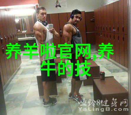 奶牛的饲料种类