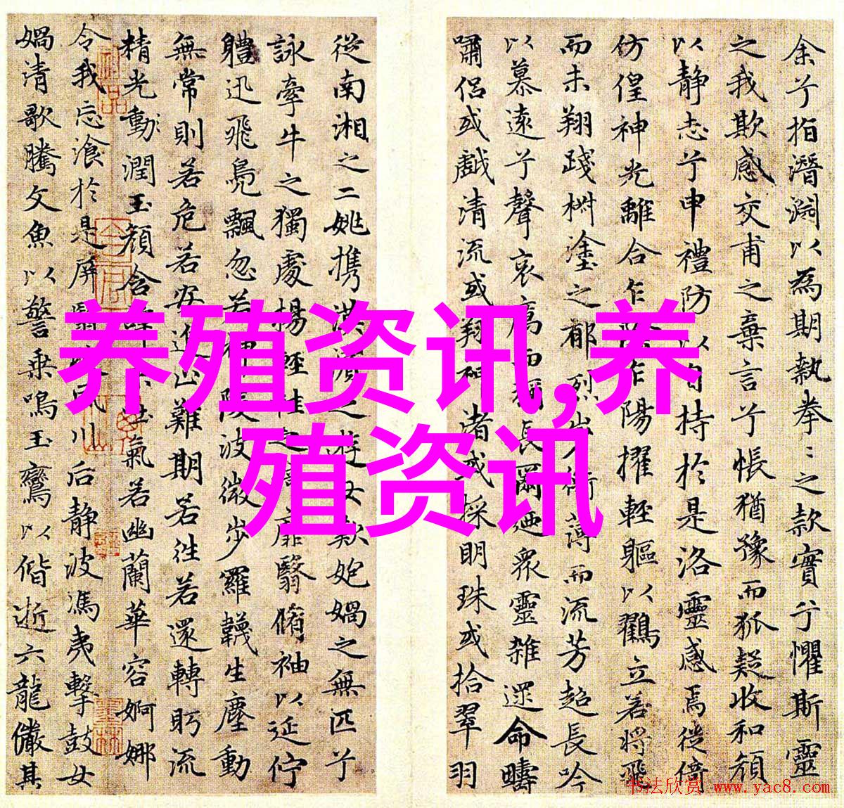 禹城猪粪每平方米换百元