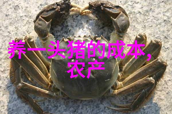 猪过食症防治措施
