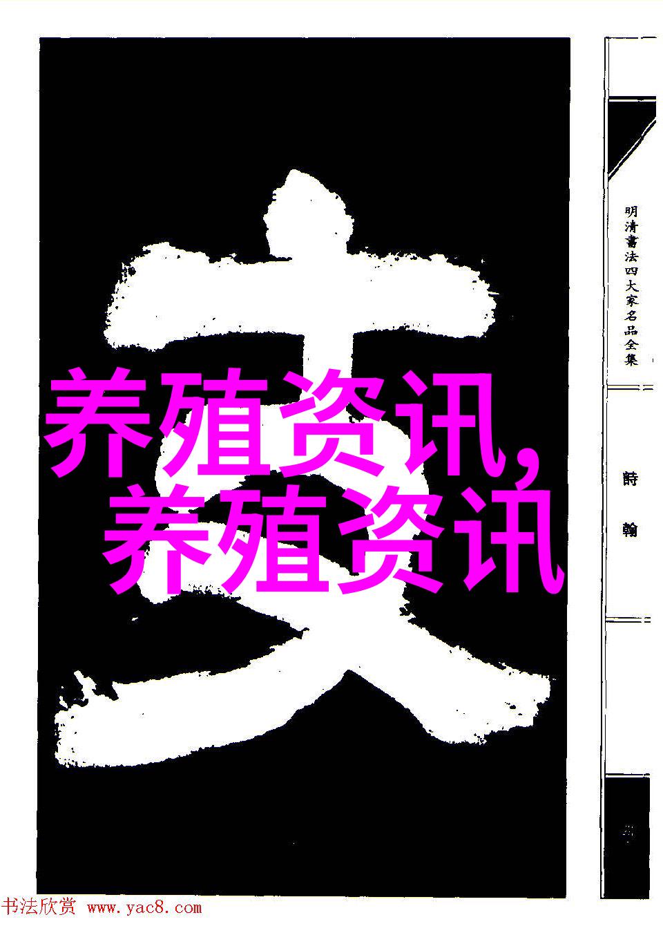 豪猪敲富贵门