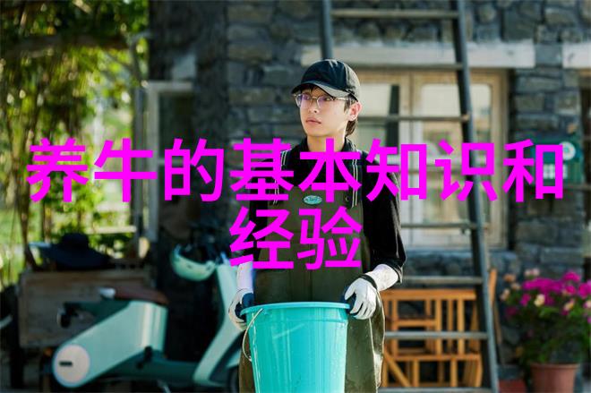 奶牛饲喂的几个误区