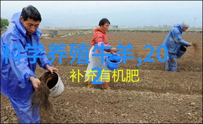 春季奶牛饲养管理注意事项
